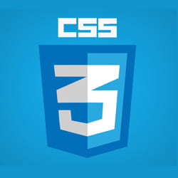 Comment changer la taille d'une case à cocher en HTML et CSS ?