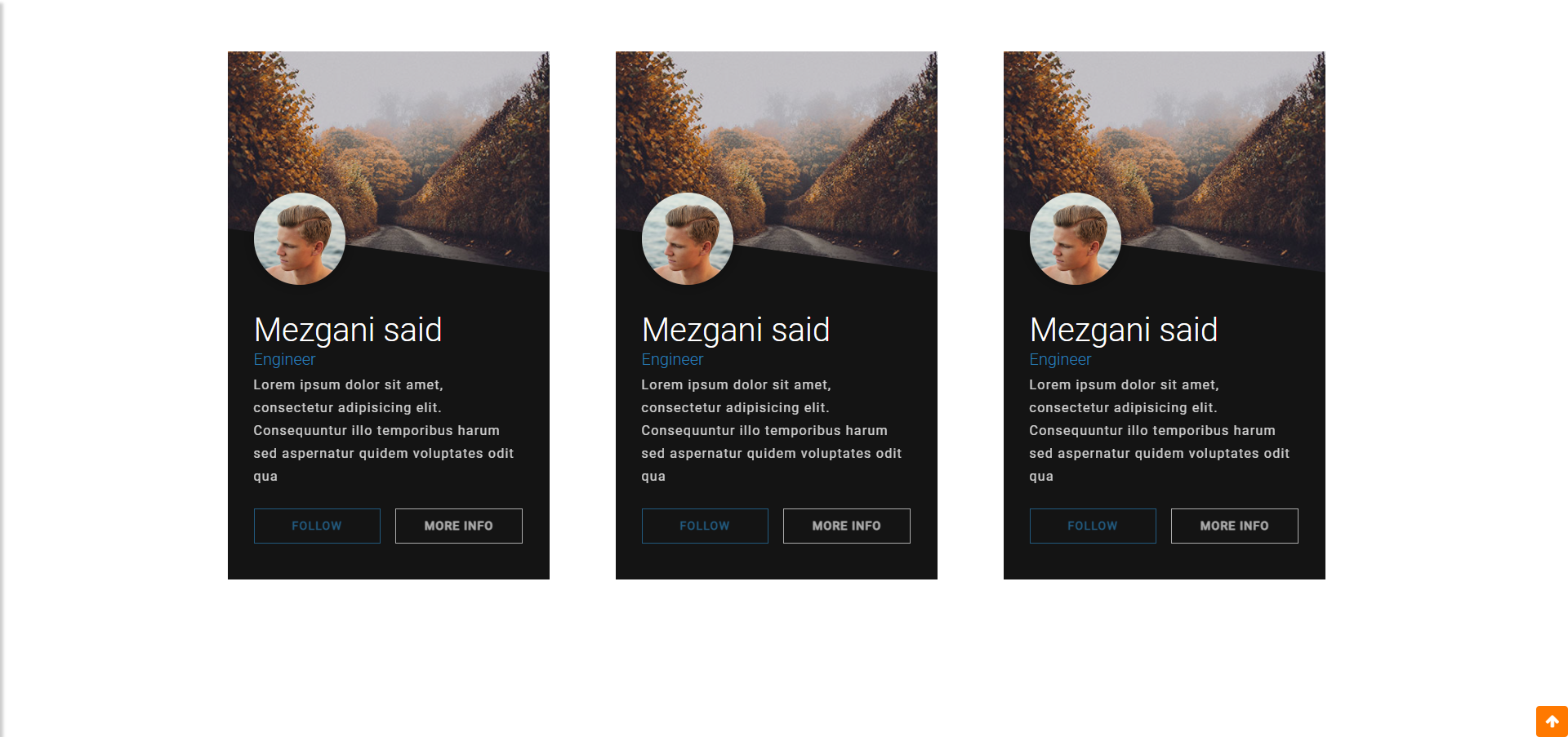 Card Profile Style01