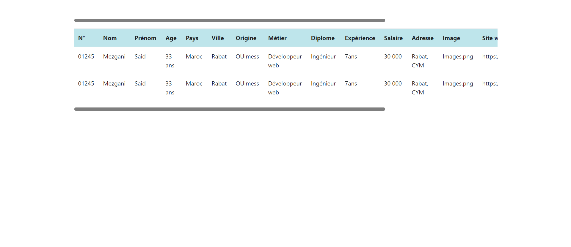 Double Scrollbar style in table 01